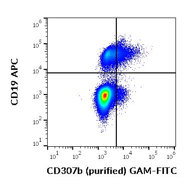 Anti-Hu CD307b Purified