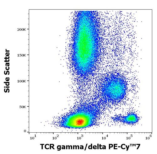 Anti-Hu TCR gamma/delta PE-Cy™7