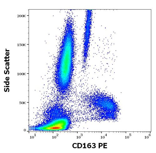 Anti-Hu CD163 PE