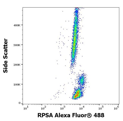 Anti-RPSA Alexa Fluor<sup>®</sup> 488