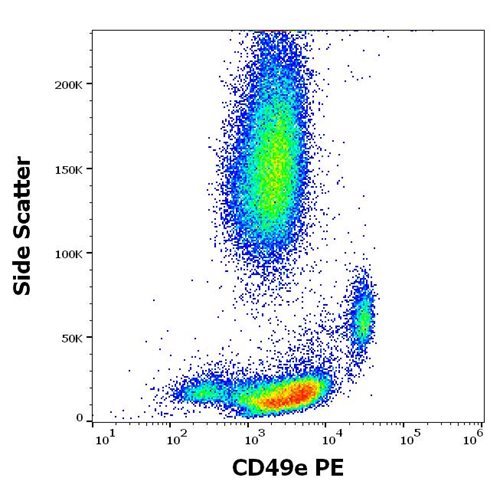 Anti-Hu CD49e PE