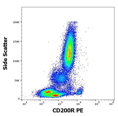 Anti-Hu CD200R PE