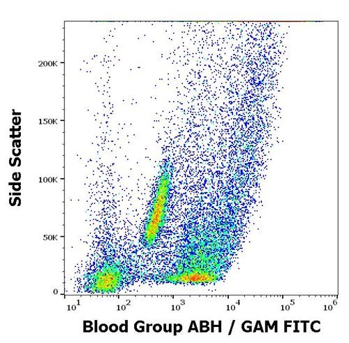 Anti-Blood Group ABH Culture supernatant