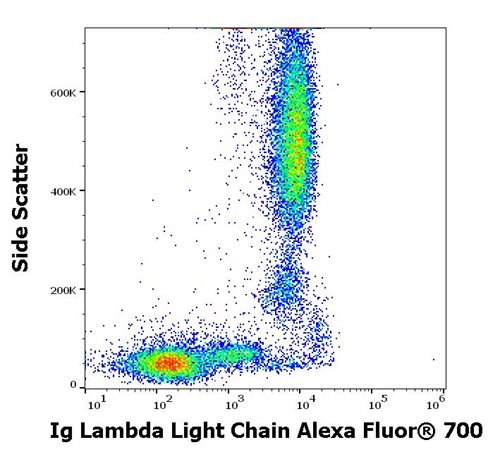 Anti-Hu Ig Lambda Light Chain Alexa Fluor<sup>®</sup> 700