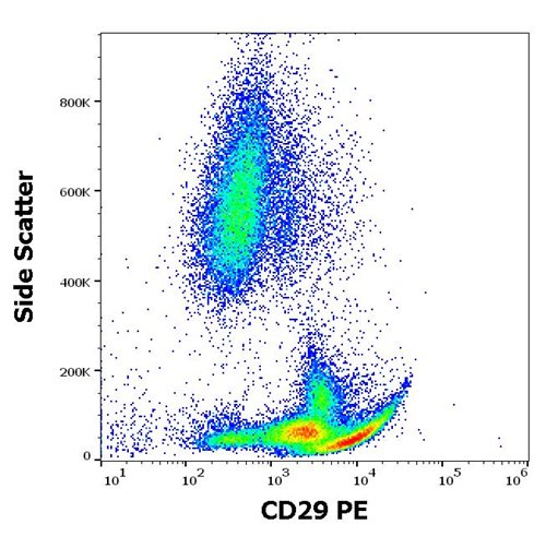 Anti-Hu CD29 PE