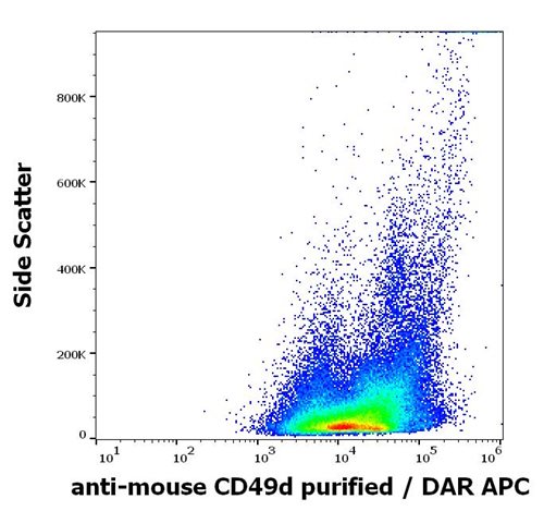 Anti-Ms CD49d Purified