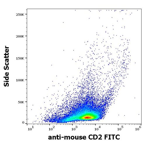 Anti-Ms CD2 FITC