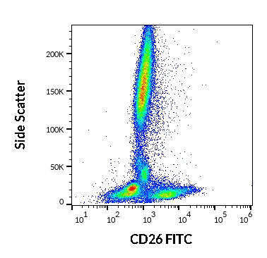 Anti-Hu CD26 FITC