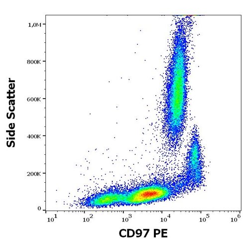 Anti-Hu CD97 PE