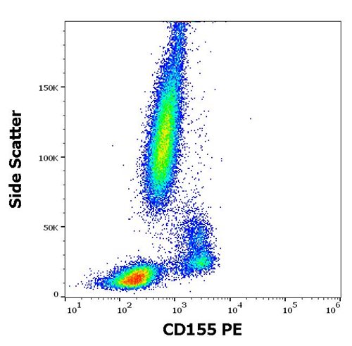Anti-Hu CD155 PE