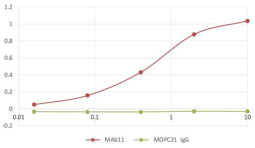 Anti-TNF alpha Purified