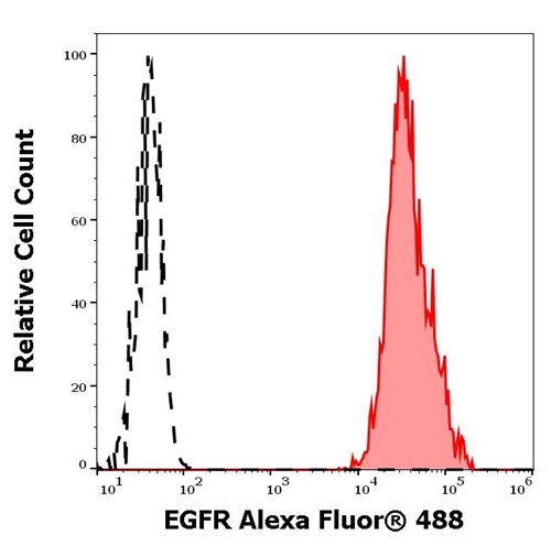 Anti-EGFR Alexa Fluor<sup>®</sup> 488