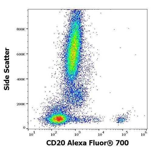 Anti-Hu CD20 Alexa Fluor<sup>®</sup> 700