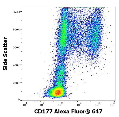 Anti-Hu CD177 Alexa Fluor<sup>®</sup> 647