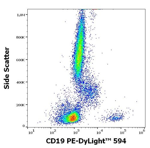 Anti-Hu CD19 PE-DyLight™ 594