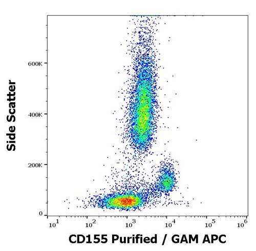 Anti-Hu CD155 Purified