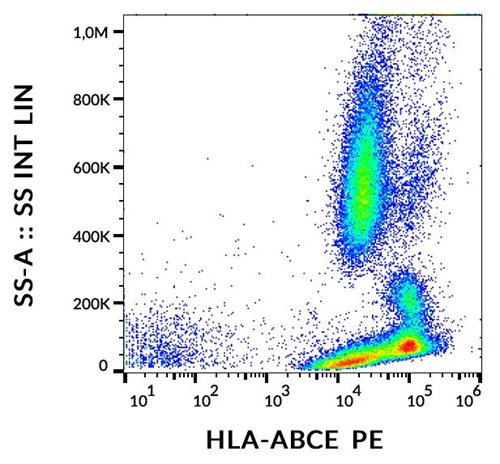 Anti-HLA-ABCE PE