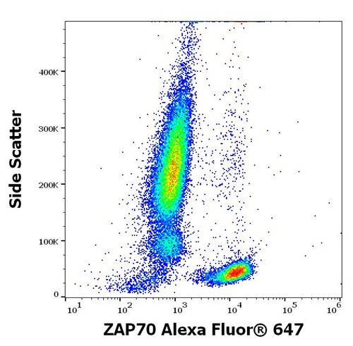 Anti-ZAP70 Alexa Fluor<sup>®</sup> 647