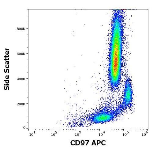 Anti-Hu CD97 APC