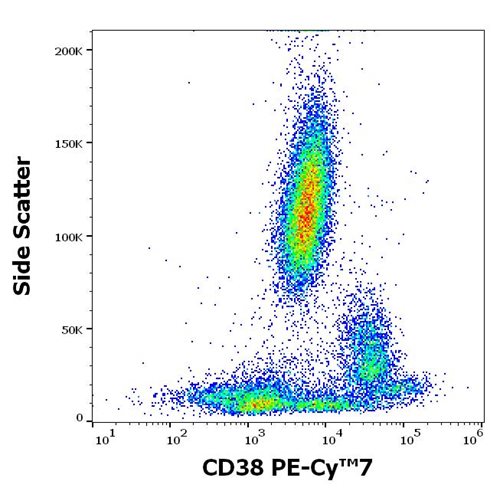 Anti-Hu CD38 PE-Cy™7