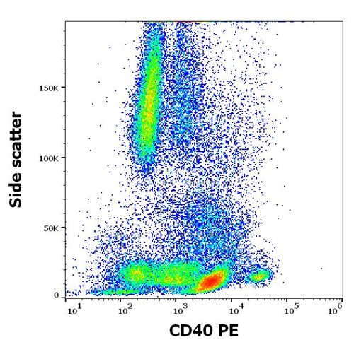 Anti-Hu CD40 PE