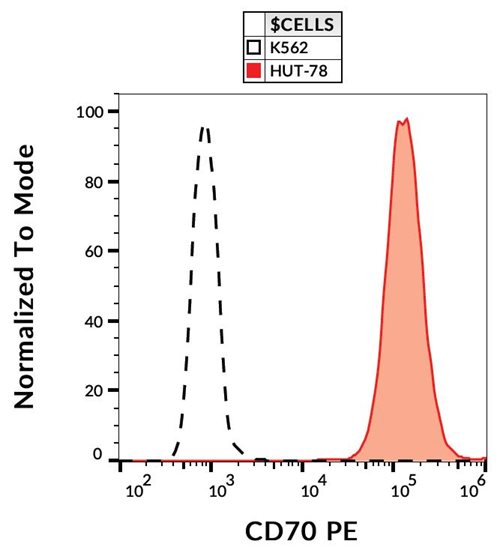 Anti-Hu CD70 PE