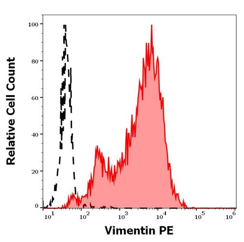 Anti-Vimentin PE