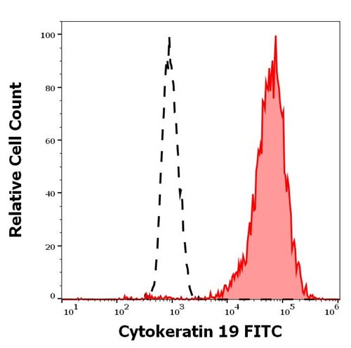 Anti-Cytokeratin 19 FITC