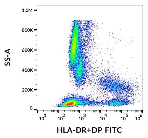 Anti-HLA-DR/DP FITC