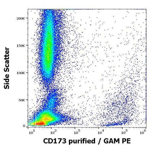 Anti-Hu CD173 Purified