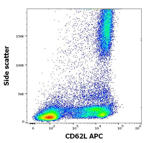 Anti-Hu CD62L APC