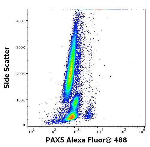 Anti-PAX5 Alexa Fluor<sup>®</sup> 488