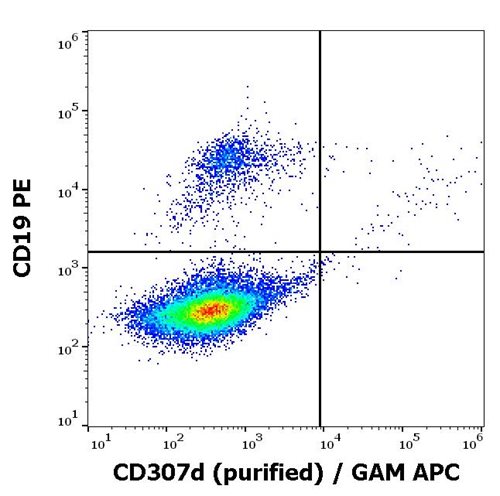 Anti-Hu CD307d Purified