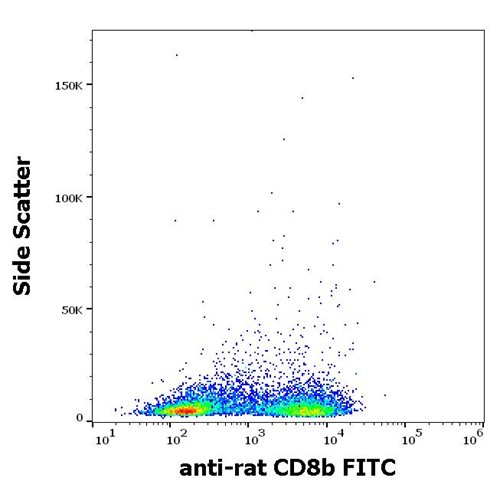 Anti-Rt CD8b FITC