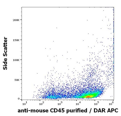 Anti-Ms CD45 Purified