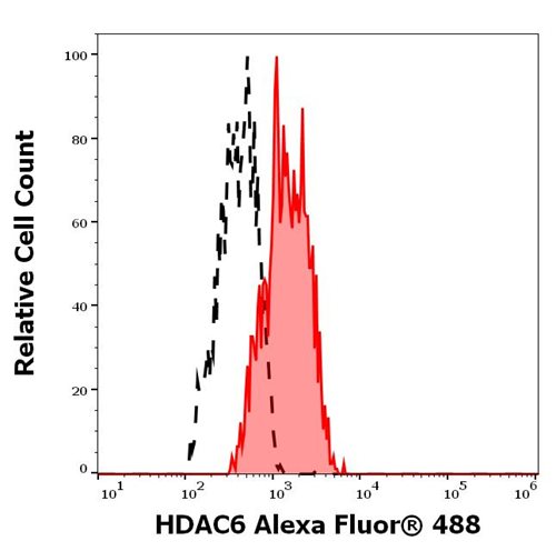 Anti-HDAC6 Alexa Fluor<sup>®</sup> 488