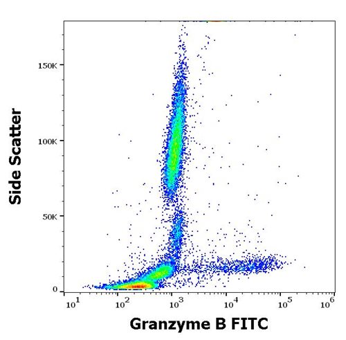 Anti-Granzyme B FITC