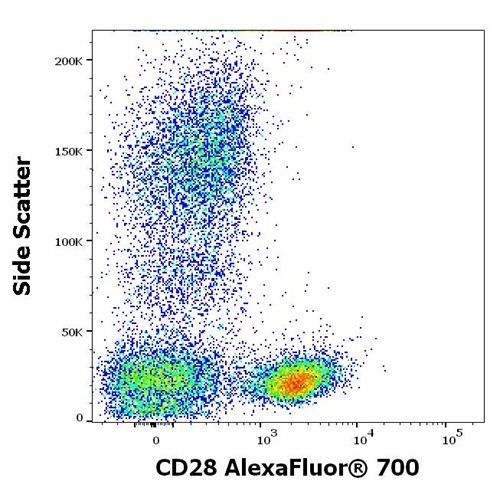 Anti-Hu CD28 Alexa Fluor<sup>®</sup> 700