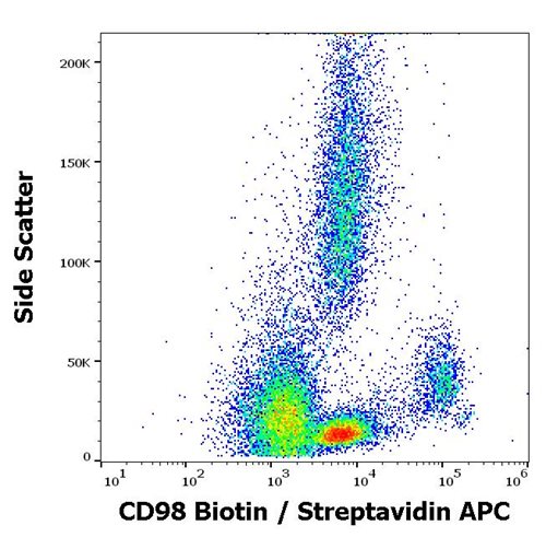 Anti-Hu CD98 Biotin