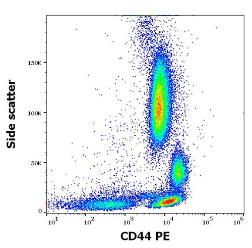 Anti-Ms CD44 PE