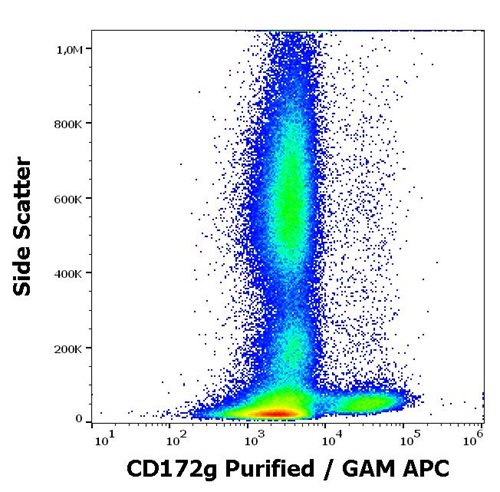 Anti-Hu CD172g Purified