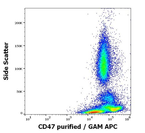 Anti-Hu CD47 Purified