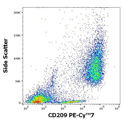 Anti-Hu CD209 PE-Cy™7