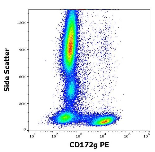 Anti-Hu CD172g PE