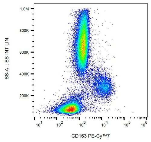 Anti-Hu CD163 PE-Cy™7