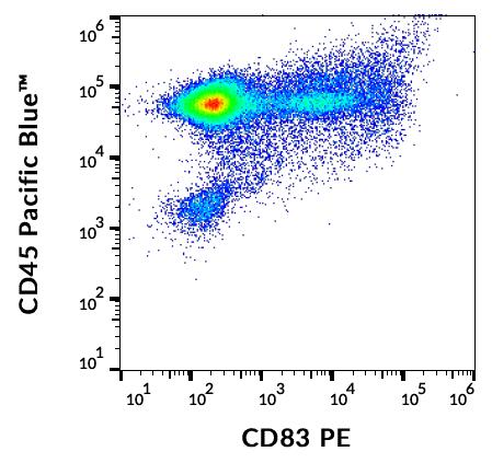 Anti-Hu CD83 PE