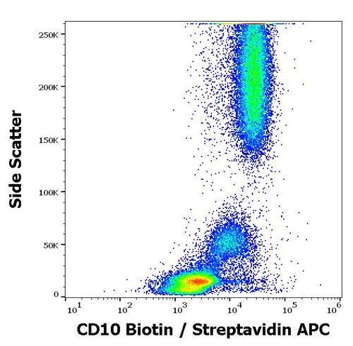 Anti-Hu CD10 Biotin