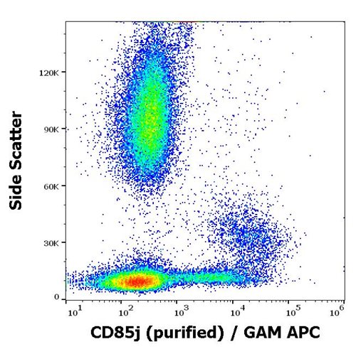 Anti-Hu CD85j Purified