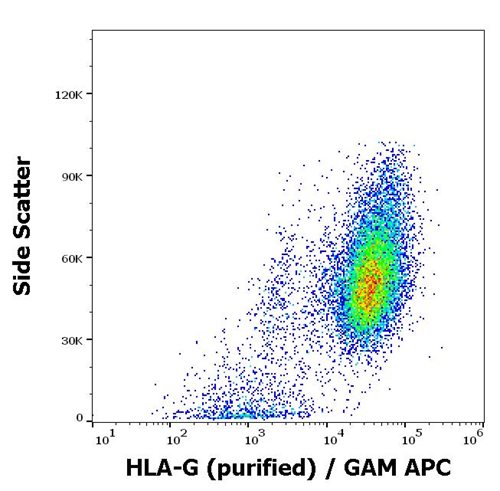 Anti-HLA-G Purified