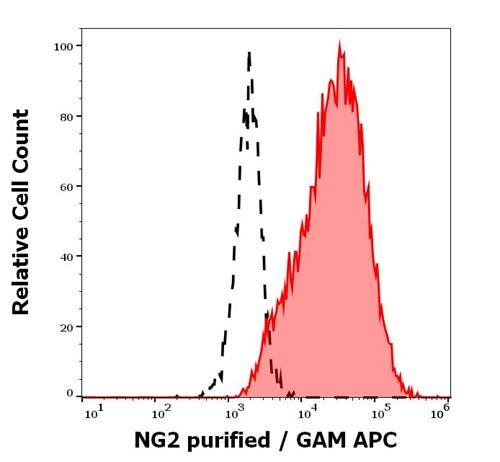 Anti-NG2 Purified